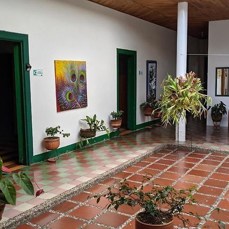 Vivienda Turistica - Casa De Carola Hotel Jardin Exterior photo